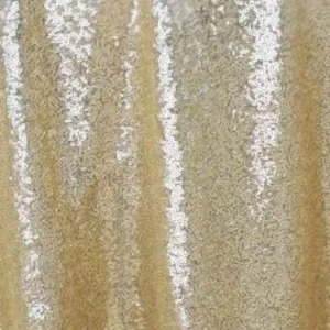 Sequin Back Drop