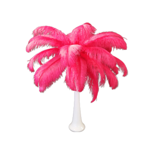 Ostrich Feather