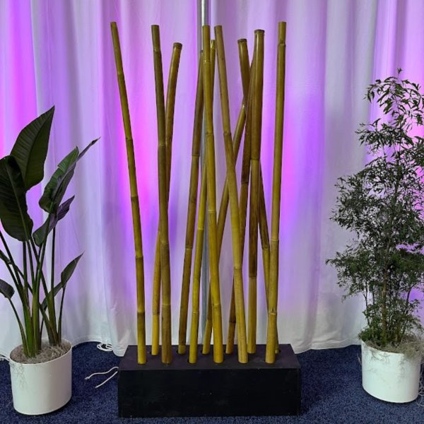 Bamboo Room Divider - Image 2